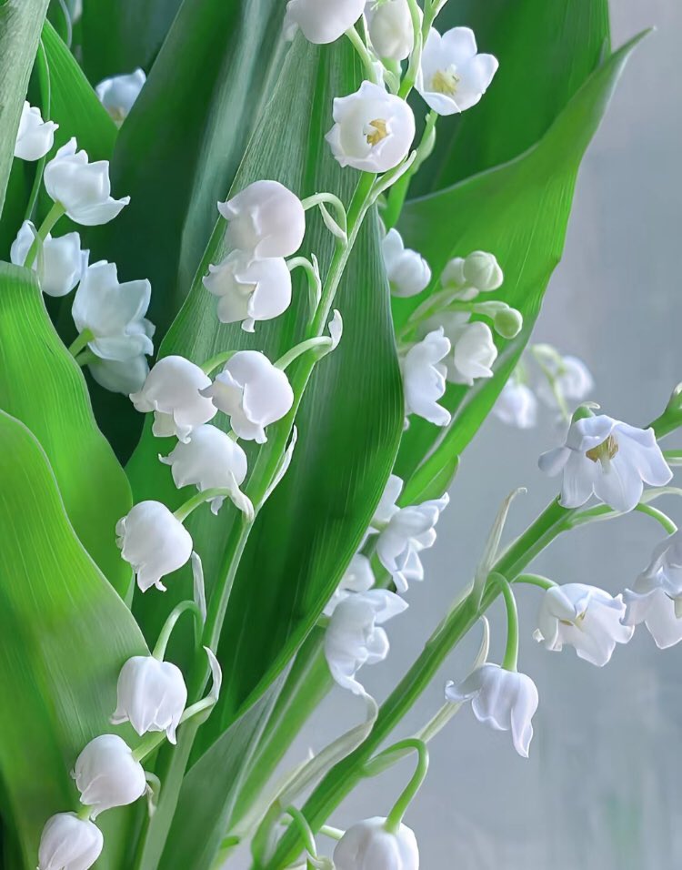 ‏ْ (@piinkifairy) on Twitter photo 