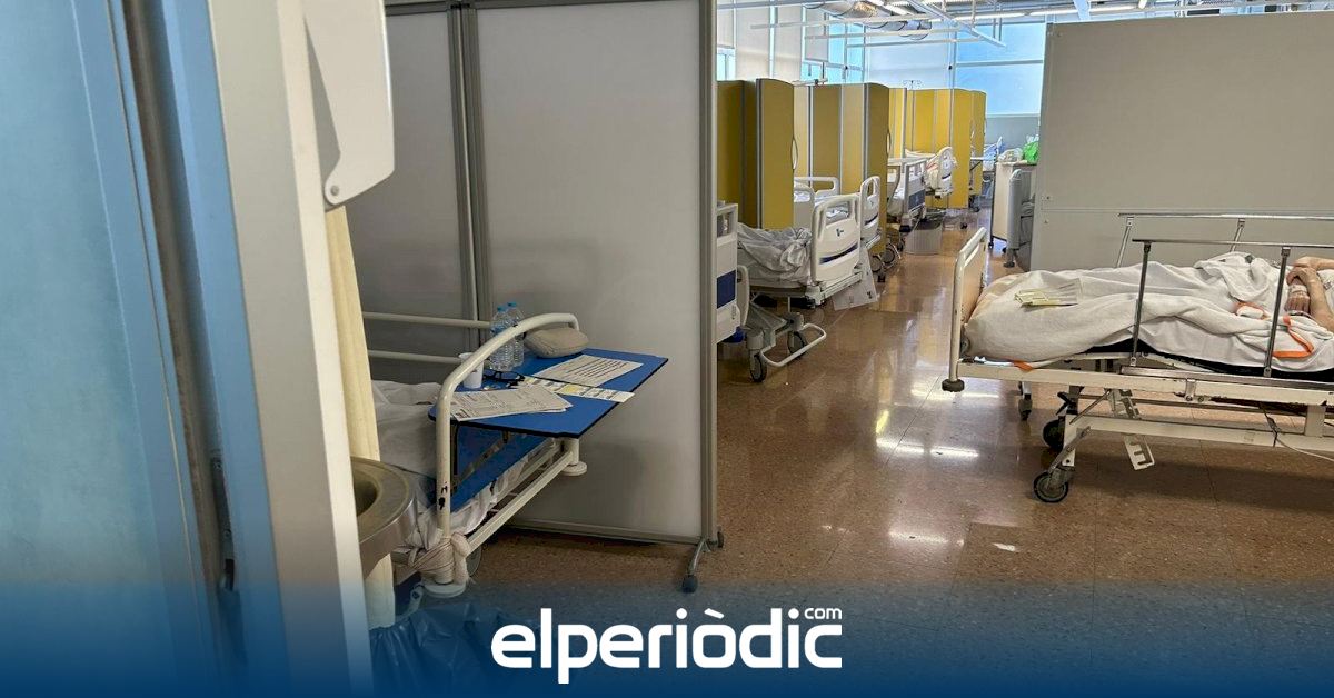 CSIFCV's tweet photo. 🏥 CSIF alerta de 64 pacientes en espera de cama en el hospital General y de 53 en el Clínico de Valencia y exige más medios

👉 https://t.co/BS4C7XdVfM vía @elperiodic https://t.co/bylYLqKVkq