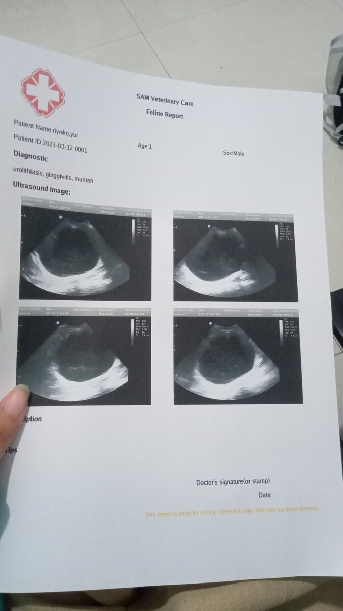 Gaktahu56's tweet photo. ⚠️HELP RT⚠️
Tolong aku minta bantuan kalian orang2 baik 😭
Gatau lagi harus gimana, gak nyiapin dana darurat juga buat Yui karena masa kontrak kerja udah berakhir di desember kemarin dan gaada simpanan :') https://t.co/IN0AQv3HrD