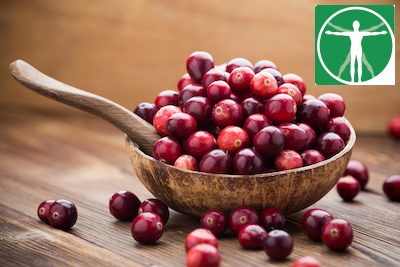 ColloidalCare's tweet photo. Reviewed by Dr. Michael Kessler, DC  Cranberry truly is a symbol of the holiday season. The fruits of the evergreen shrub adorn wreathes, centerpieces, and Christmas trees, and, of course, provide a splash of bright red to your  https://t.co/fIzwJMWXmD https://t.co/amGzxUhmt0