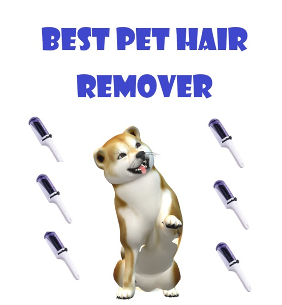 VolcanicMotion's tweet photo. Pet Hair Remover for Cloth, Couch, Furniture, Carpet, Bed, Reusable Dog Hair Remover Roller for Dog &amp; Cat, Self-Cleaning
 
#PetHairRemover #lintremover #furremover #catclean #selfcleaning #dogclean #cathairremover #petcare

Check this out: https://t.co/ufAq0EtgEo https://t.co/sxAcCGsQ9R