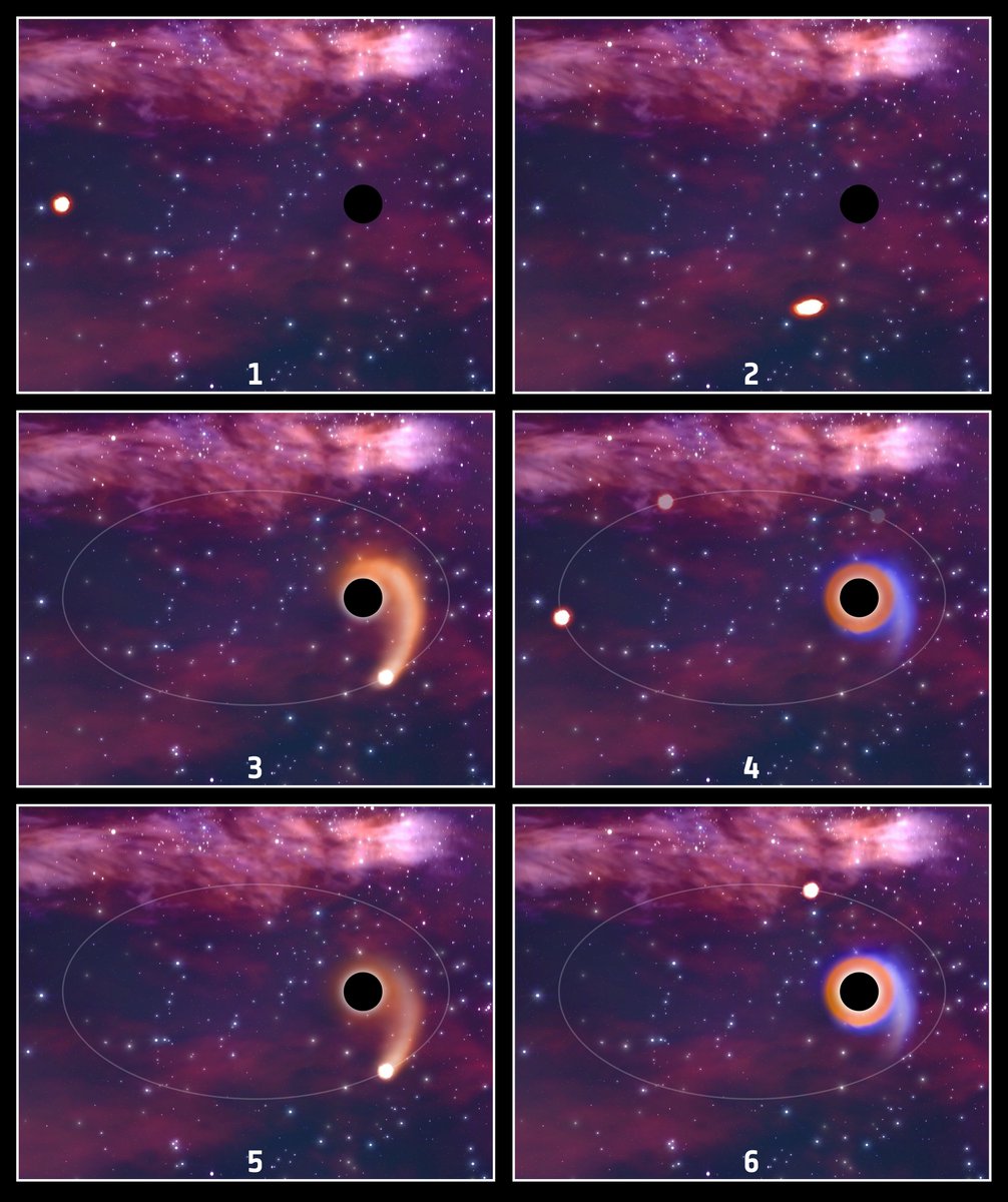 esascience's tweet photo. ๐ A mysterious discovery from @ESA_XMM!
The space telescope observed repeated outbursts of light from inactive #blackholes โก๏ธ
What happened? They partially destroy stars again and again ๐ซ
This discovery is unexpected, read why ๐https://t.co/C36s0xfZls https://t.co/LAbitkgLIh