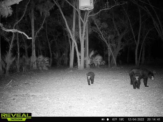 GreenSource EP, Inc. tweet media