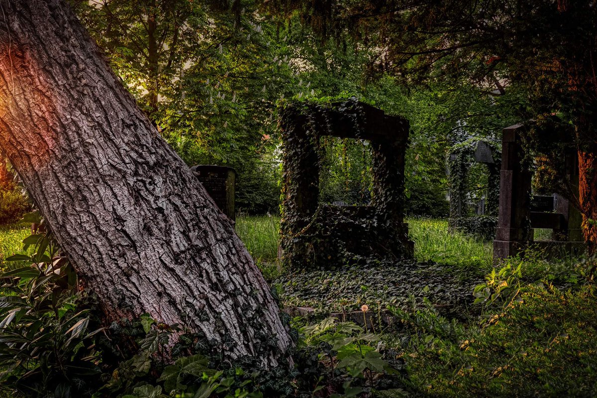 Khoji's tweet photo. @erinbiba Thought you might like this, it’s the old Jewish cemetery in our little town just outside Cologne. https://t.co/vsLOBy2hcL