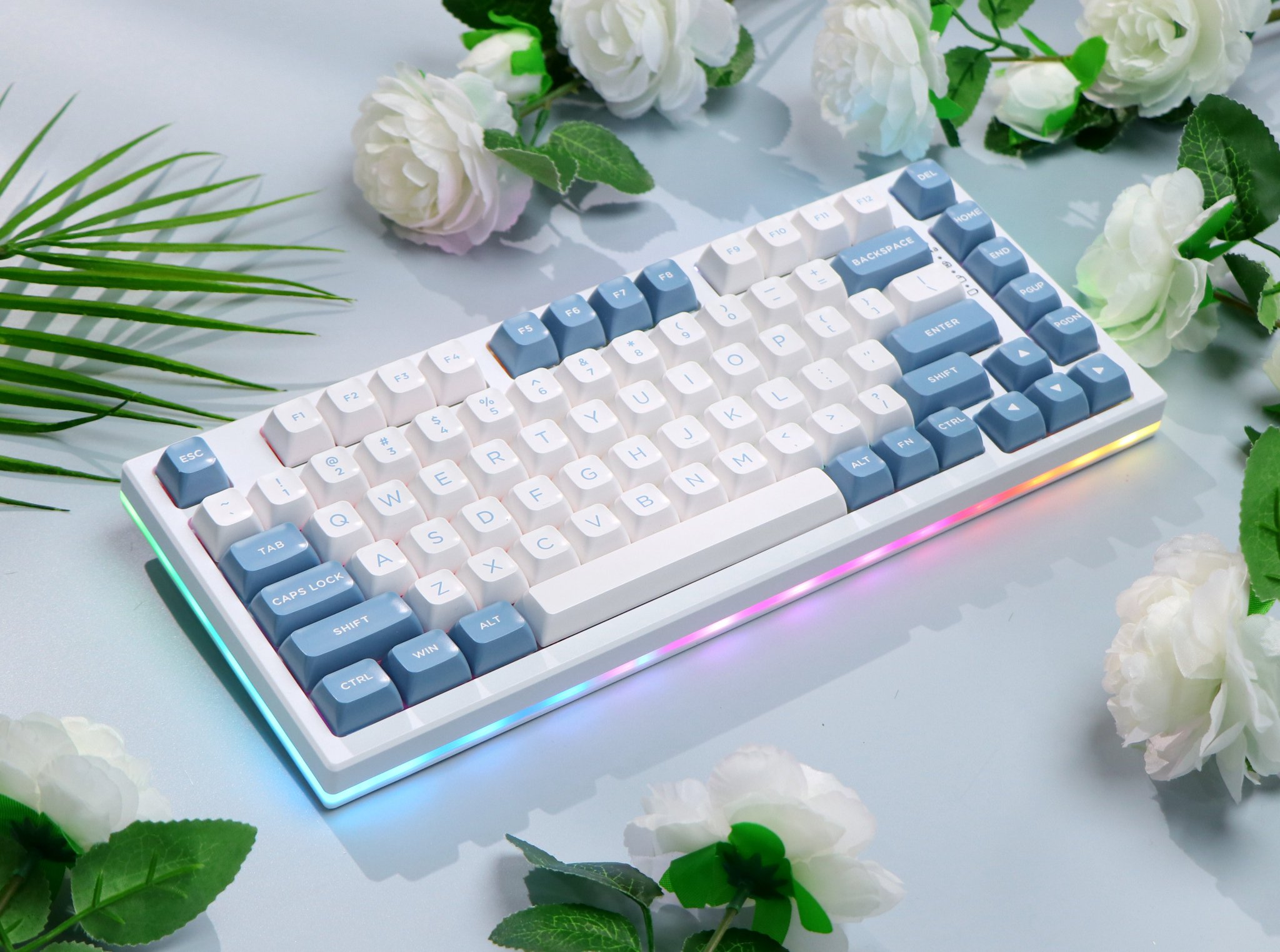 Epomaker on Twitter: "Popular 75% layout with blue pampas keycaps setð