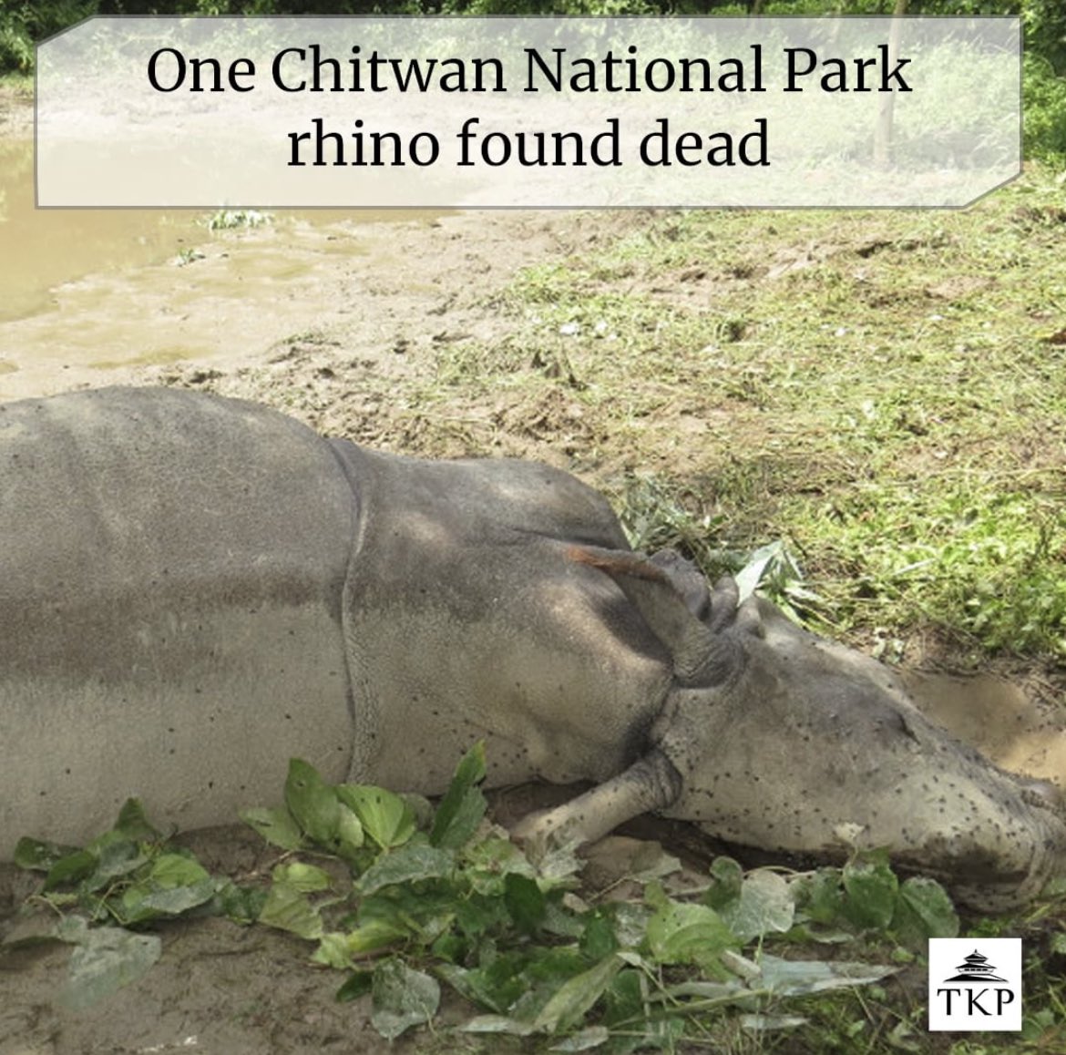 Ecoholique tweet media