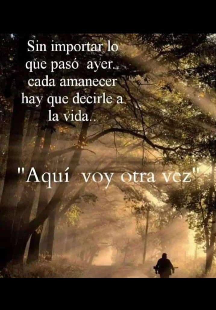 Pilu Torres (@pilutorres7) on Twitter photo 