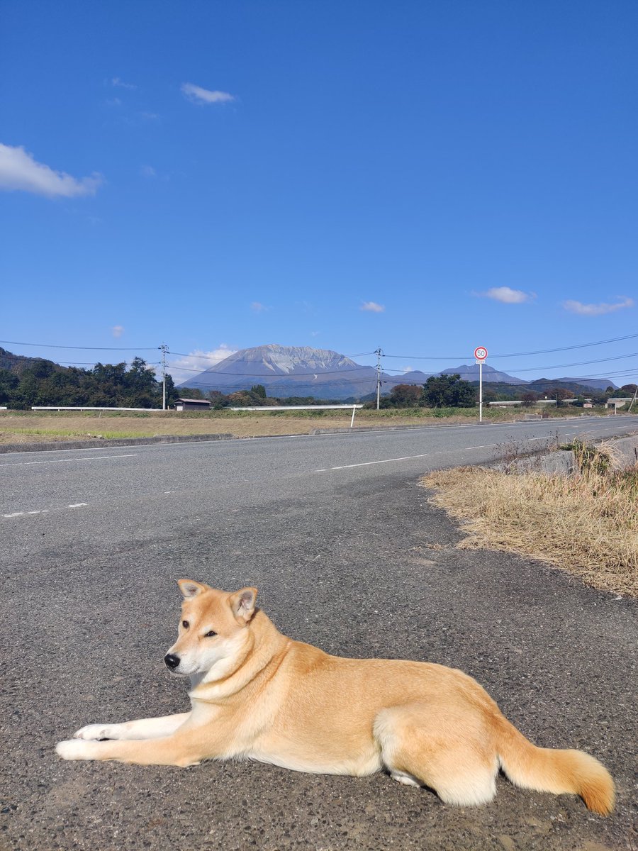 1024Kakochan's tweet photo. @4EsR7fNWSCkUdOK 秋にいってきました。とてもキレイですよね。冬の大山サムソーです。 https://t.co/tWkUaSILqe