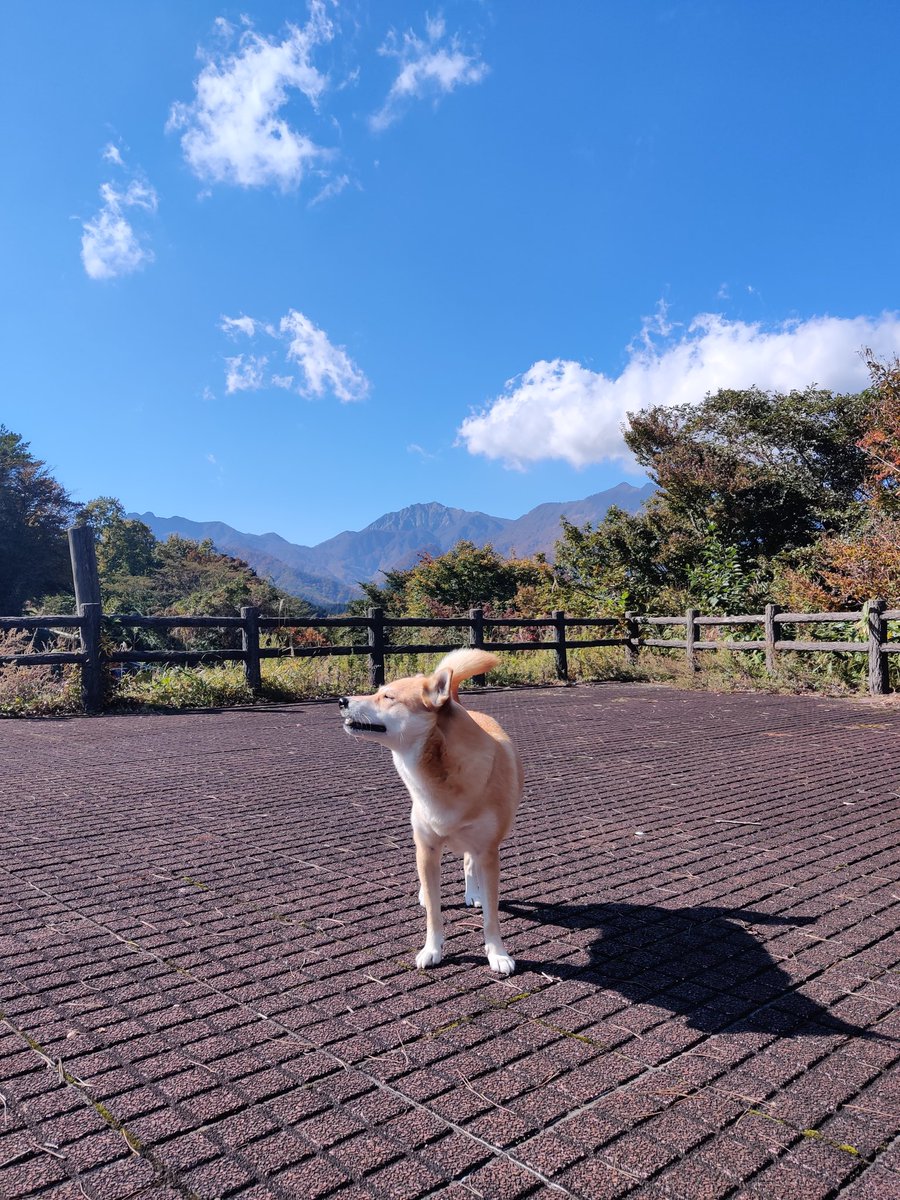 1024Kakochan's tweet photo. @4EsR7fNWSCkUdOK 秋にいってきました。とてもキレイですよね。冬の大山サムソーです。 https://t.co/tWkUaSILqe