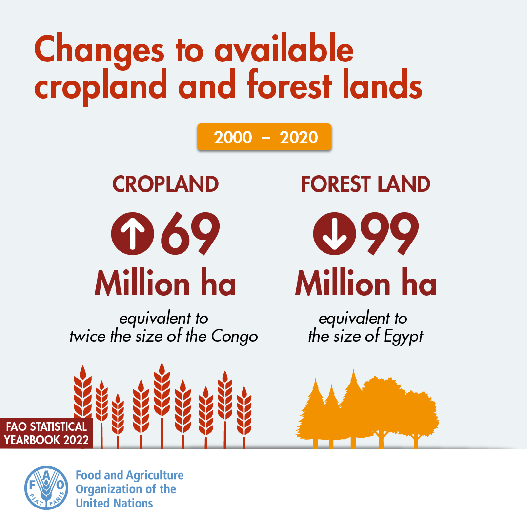 🆕 <a href="/FAO/">Food and Agriculture Organization</a>’s Statistical Yearbook for 2022 is now available❗️

#DYK that 🌍-wide between 2000-2020, cropland 🌾🌱🌾📈, while forest land 🌳🌲📉❓

Learn this &amp; much more in the FAO Statistical Yearbook👇

#StatisticsTwitter

📕fao.org/documents/card…