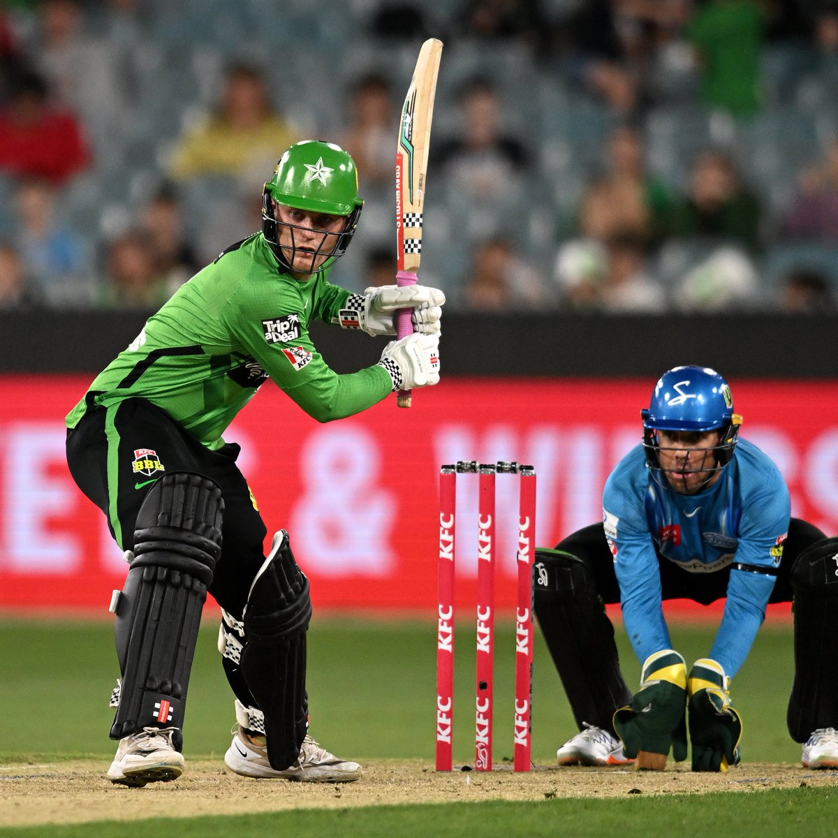 Melbourne Stars tweet media