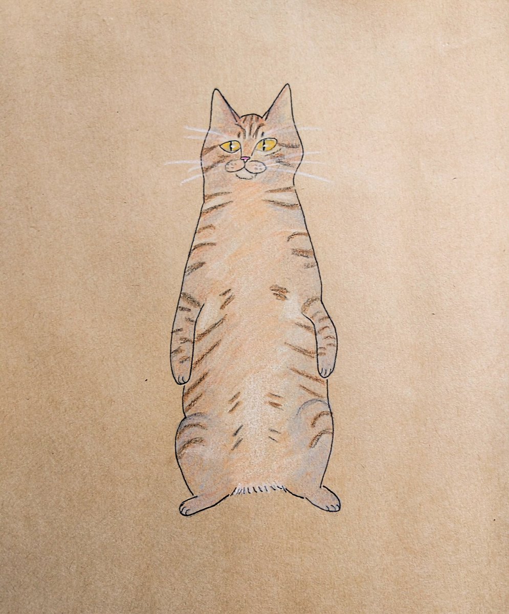 色鉛筆画 茶トラ猫 32cmx42cm