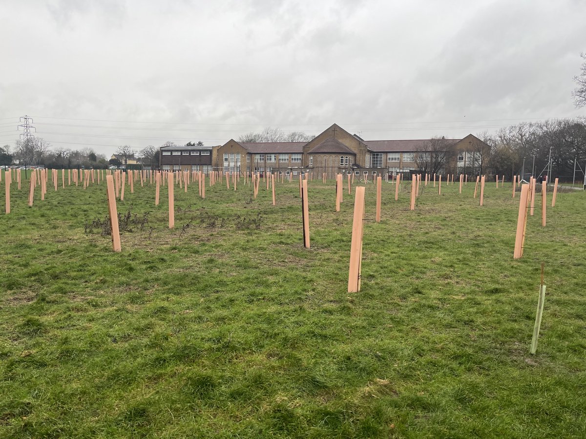 Over the last two days every child in Key Stage Two planted a tree, as part of the Government’s Trees for Climate Project. Over 500 trees are now waiting to grow into a beautiful woodland. We cannot wait to see the trees bloom! 

#olicatcommunity