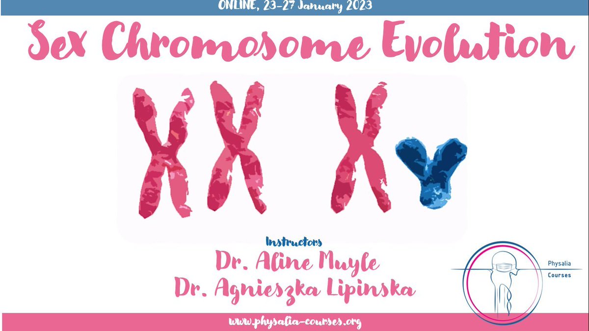 If you want to learn how to conduct computational analysis on sex chromosomes and interpret the results in the light of evolution, you can still join this course with @Aline_MUYLE & @Aga_Lipi 

🔗physalia-courses.org/courses-worksh…

#SexChromosome #Genomics #Evolution #Bioinformatics #Rstats