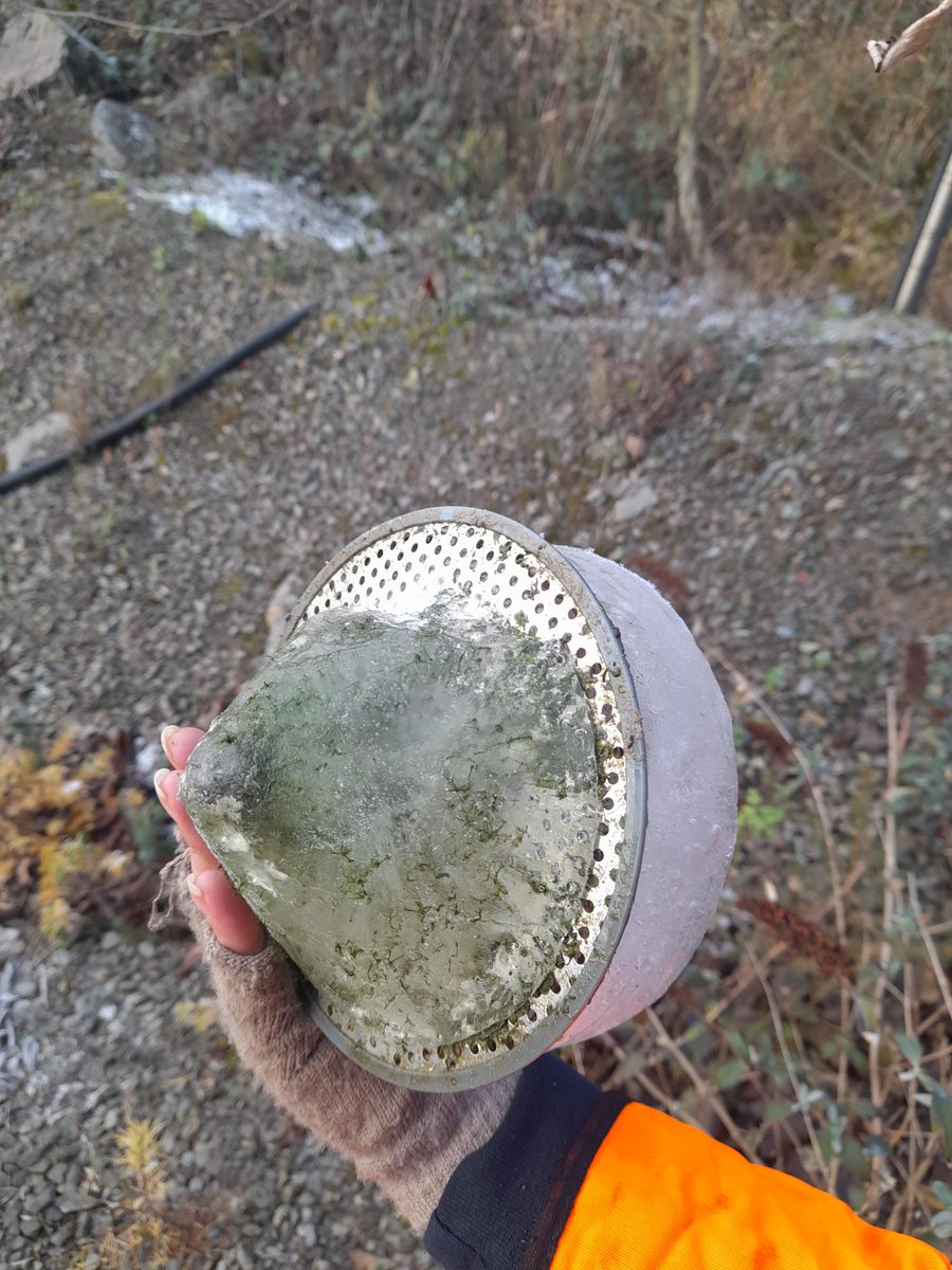 Just a little reminder to remember to get your Rain Gauges serviced! Our engineer Lizzie took this image prior to service. 

Our engineers are available for maintenance, calibration, services &amp; installs. Call us now to book in one of our engineers to help with your equipment.