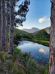 NEW to Monasteries.com : The Volmoed Trust in South Africa is as a Retreat and Conference Centre founded in 1986, for Healing and Reconciliation. In 2019, Volmoed welcomed Anglican monks from St Benedict’s Priory. Anyone can stay, rooms prices are from $65  per night.