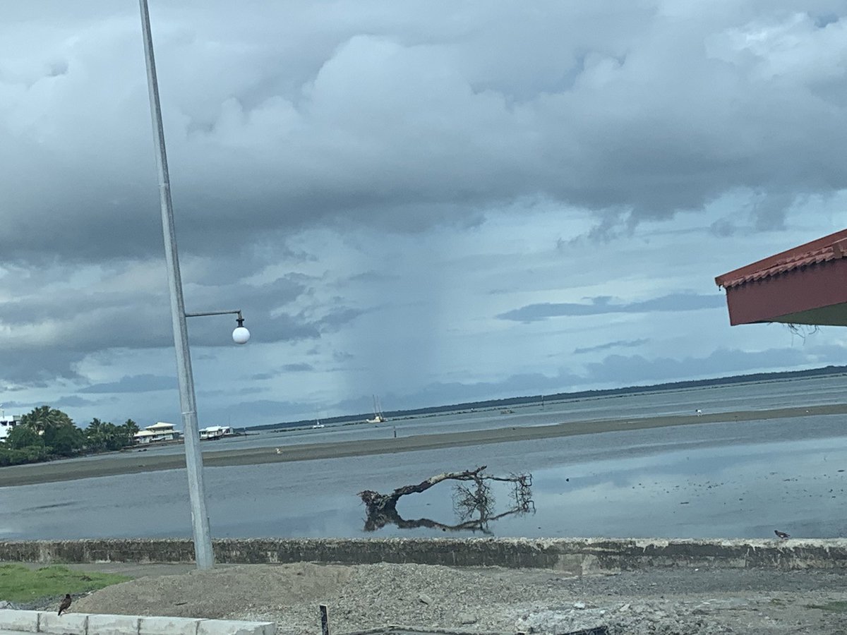 RIP Lone Tree. You’re probably the most famous tree in Suva or maybe 2nd most famous! Definitely the most photographed tree in Fiji methinks! @AlisiRabukawaqa