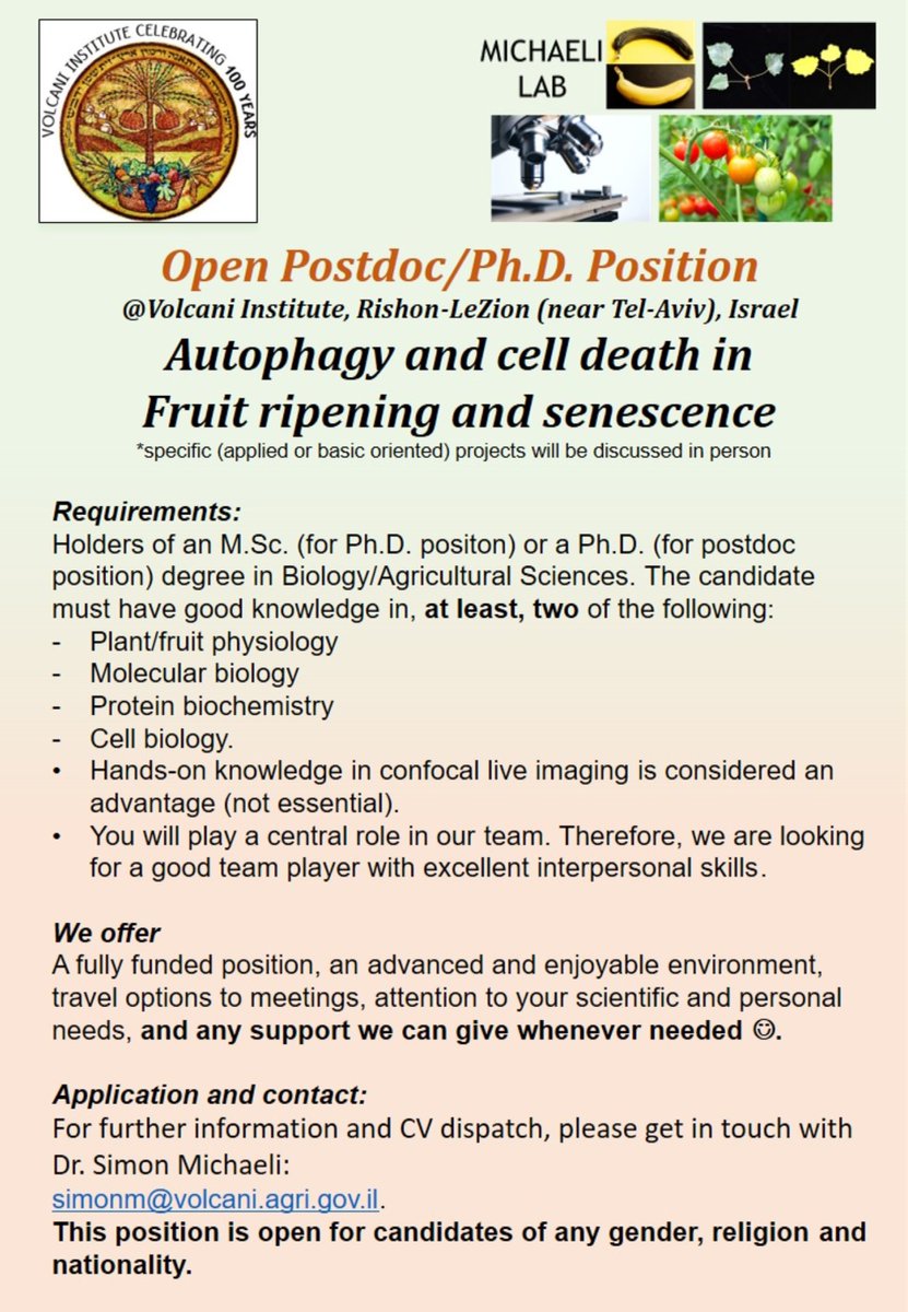 Simon Michaeli tweet media