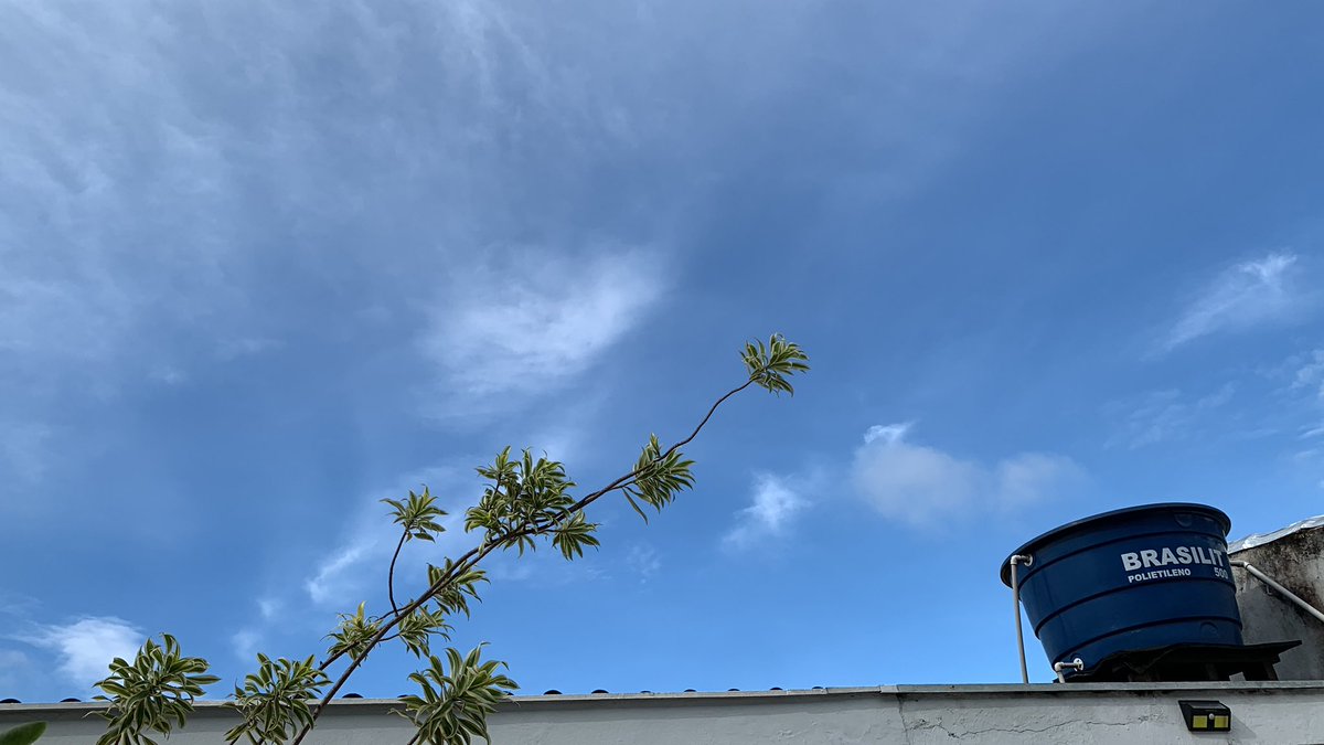 Mai_Taguchi's tweet photo. São Paulo に来てずーーっと雨で寒くてダウンまで着てたけど、やっと昨日の午後暖かくなって今朝青い空が見えた！！ https://t.co/VQx9FUFkI4
