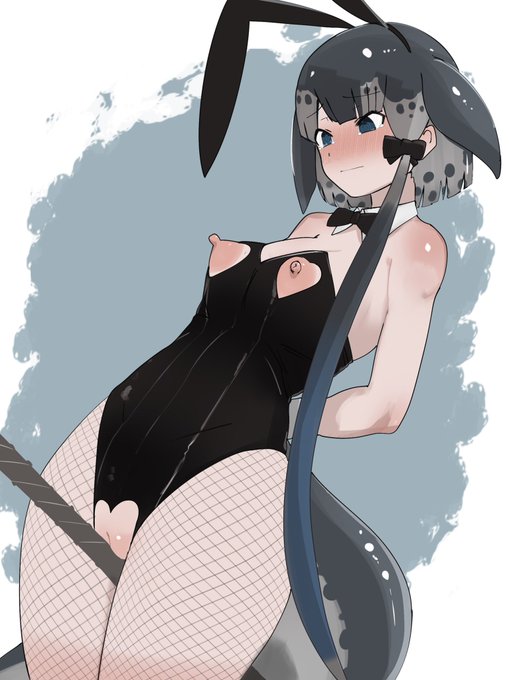 > 乳首とおまた部分の布地が切り抜かれたドスケベバニーガール衣装を着たイッカク。 #odaibako_sbrks3 https://t.co/BS8HQcwJ3dやっぱり即アップすると気になるところ出てくるんだよね 