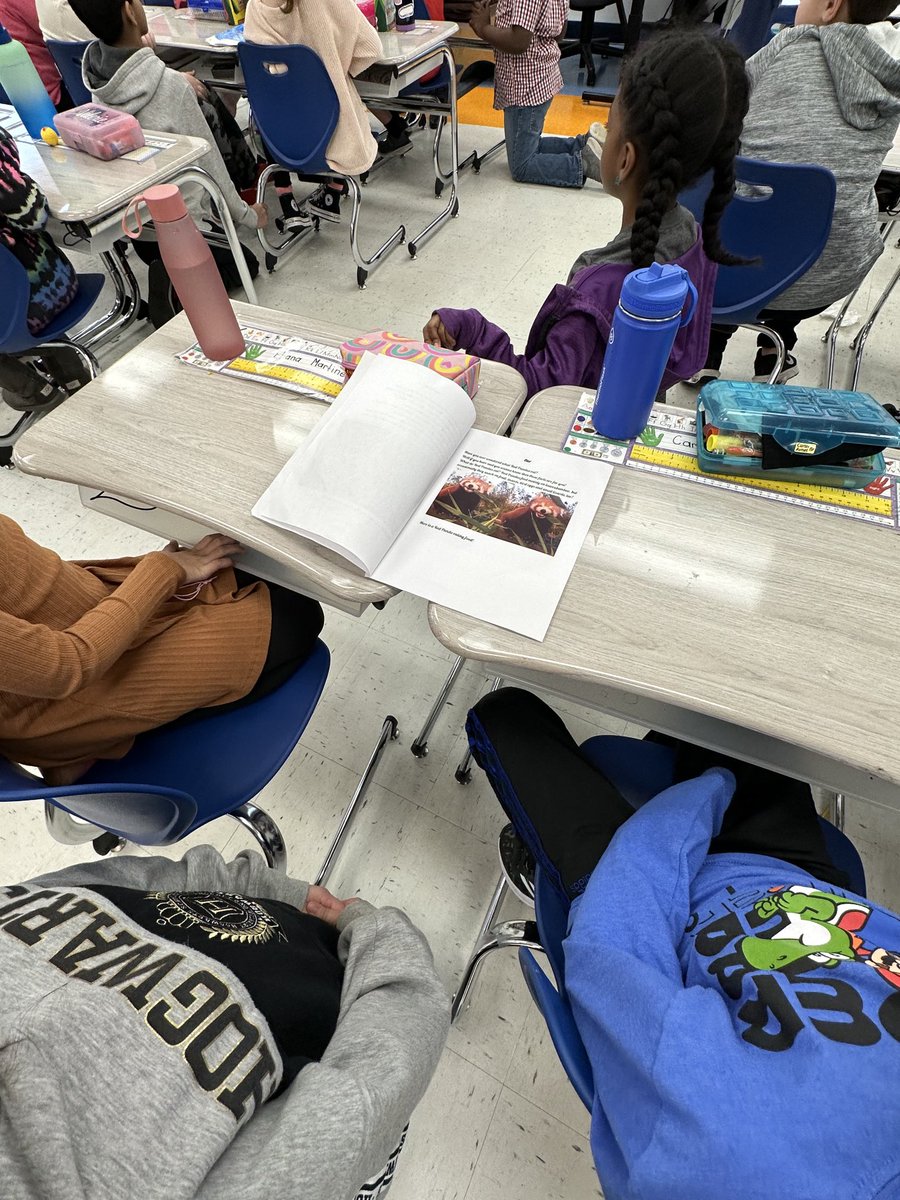 Kelly Garry tweet media