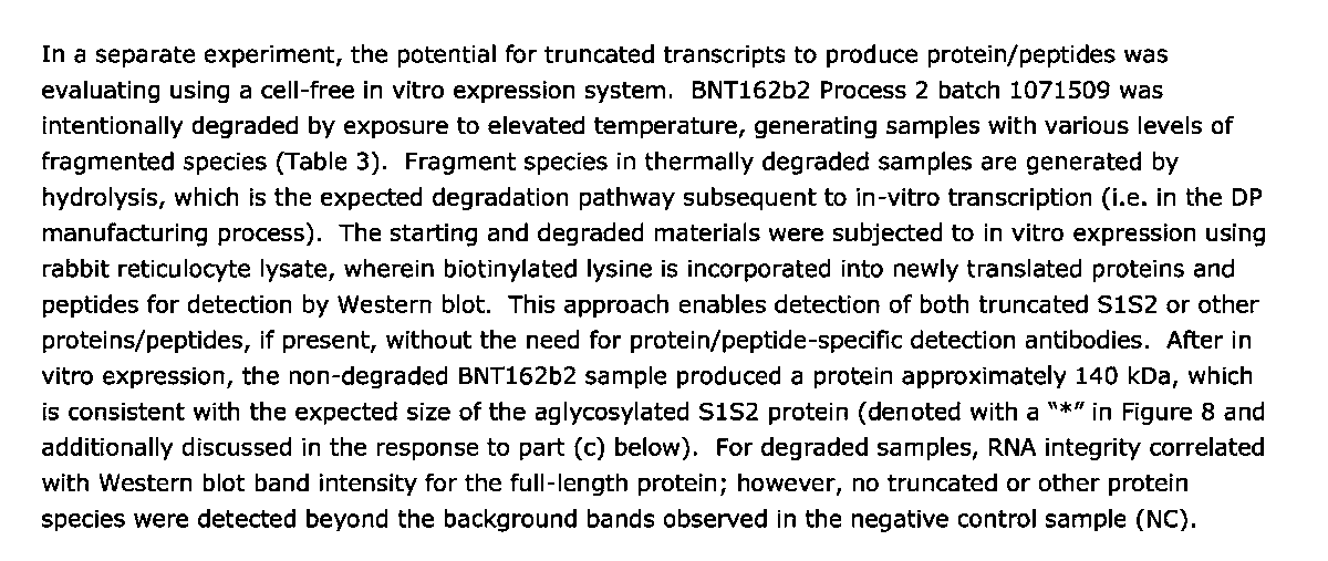Jikkyleaks's tweet image. They didn't worry about them. 
What they did was look for species that ONLY stained with S1/S2 antibody. 

When they did a generic Lysine blot they found all manner of protein bands, and just ignored them