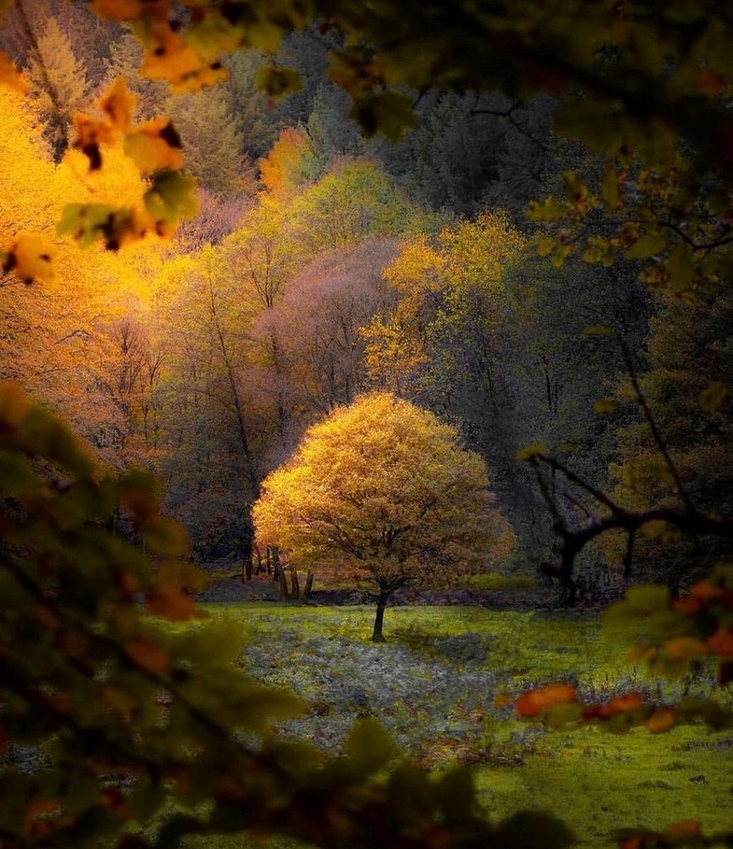 Paradise is a place on Earth