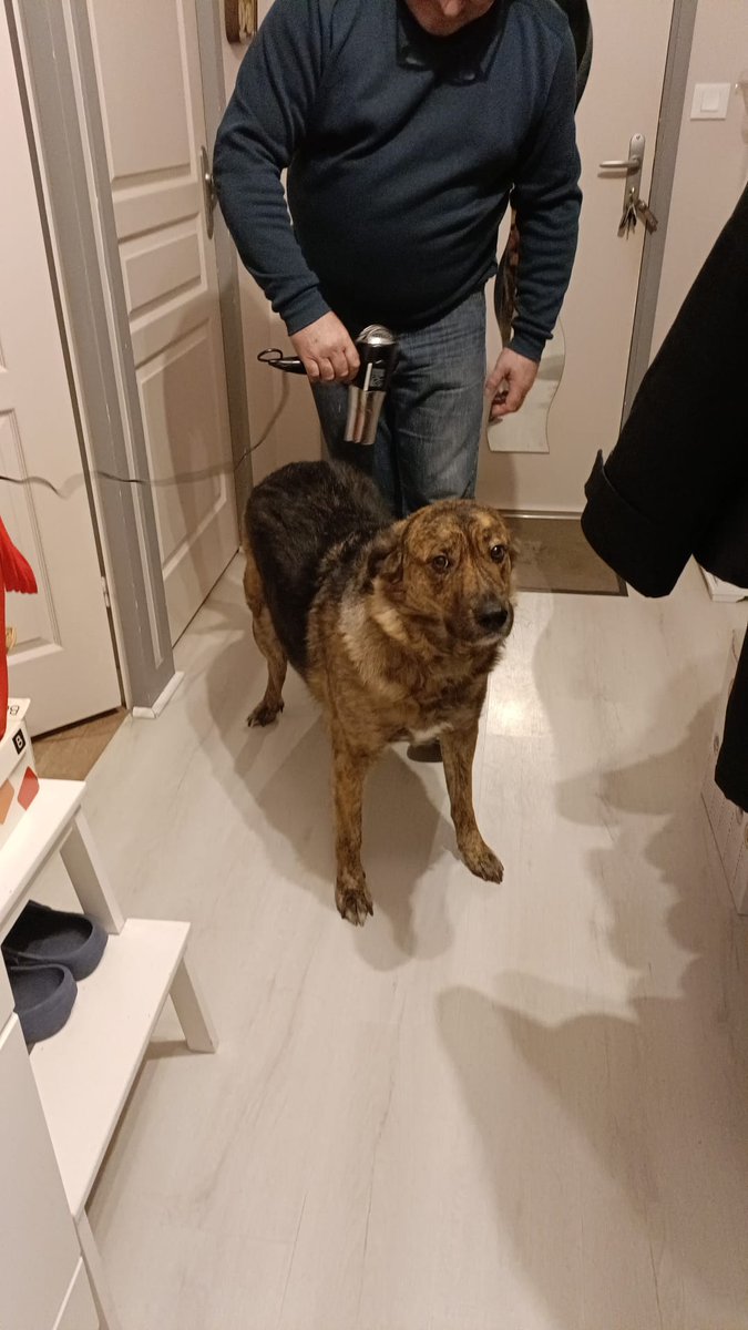 Alex they/them tweet media