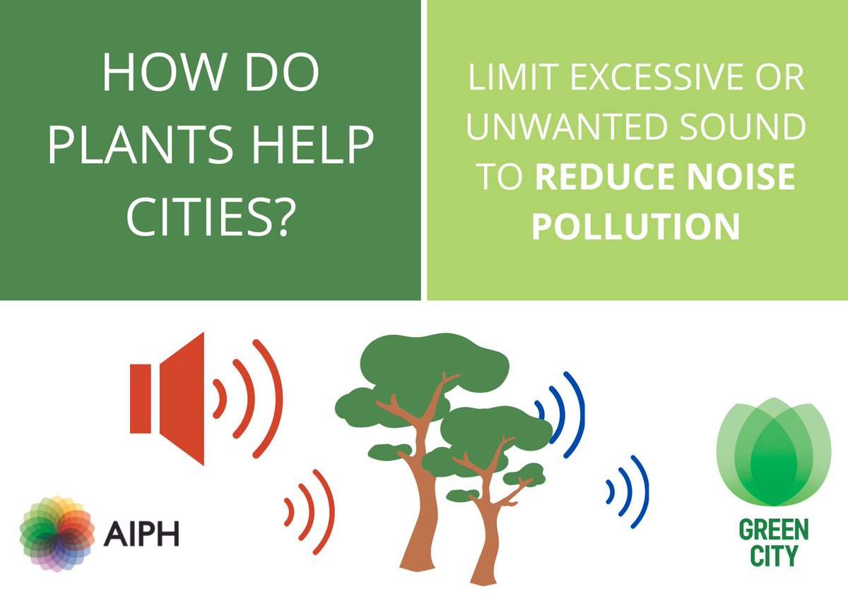 Did you know?
A line of trees can help reduce the negative physical and psychological effects of noise pollution!  
🌳🌲🌳🌲🌳🌲🌳🌲
#treesforcities #powerofplants #greencities #noisepollution