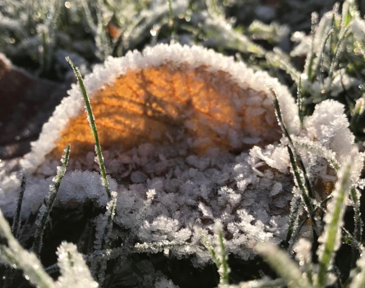 SuccessAt3's tweet photo. The Trust's secondary school @ThomasEstley held a recent photography competition...
Congratulations to our December photography winners - 
🌄Gate with sun through -🥇
❄️Frosty plant -🥈
🍂Frozen brown leaf -🥉3rd
Some fantastic and original compositions yet again. https://t.co/C3uvp5KLM4