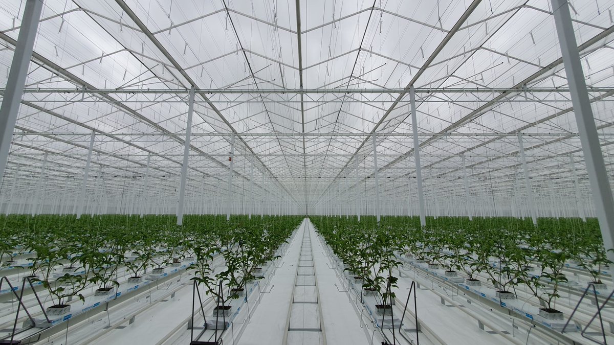 Havecon Horticultural Projects tweet media