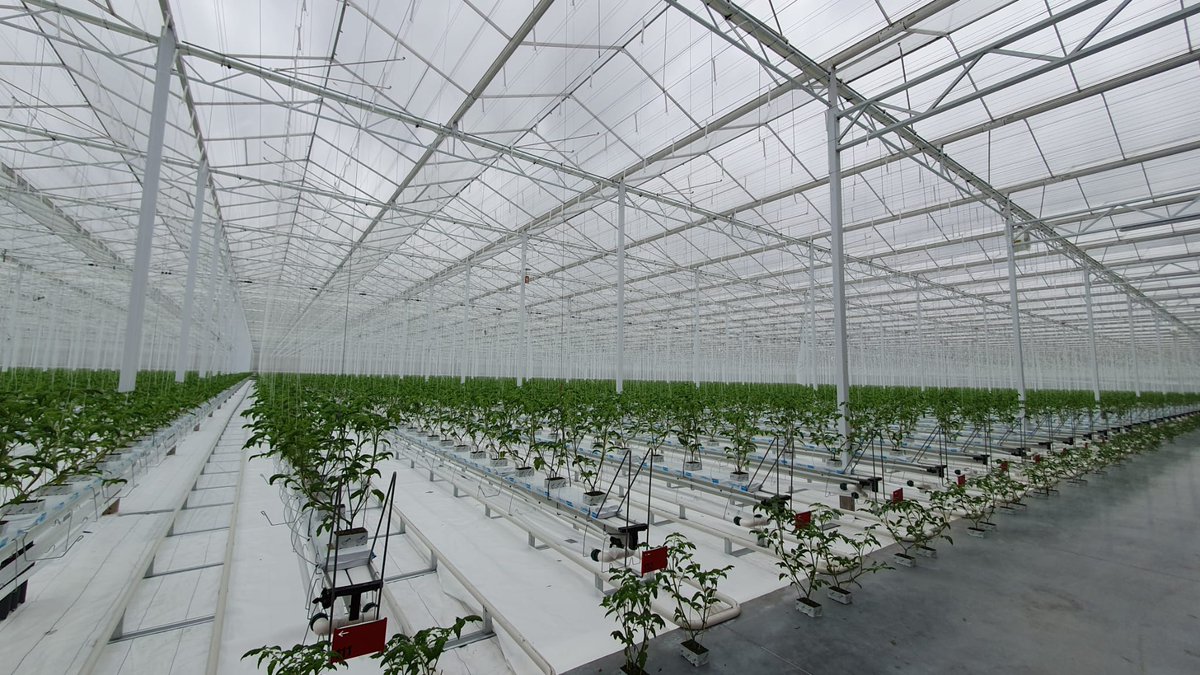 Havecon Horticultural Projects tweet media