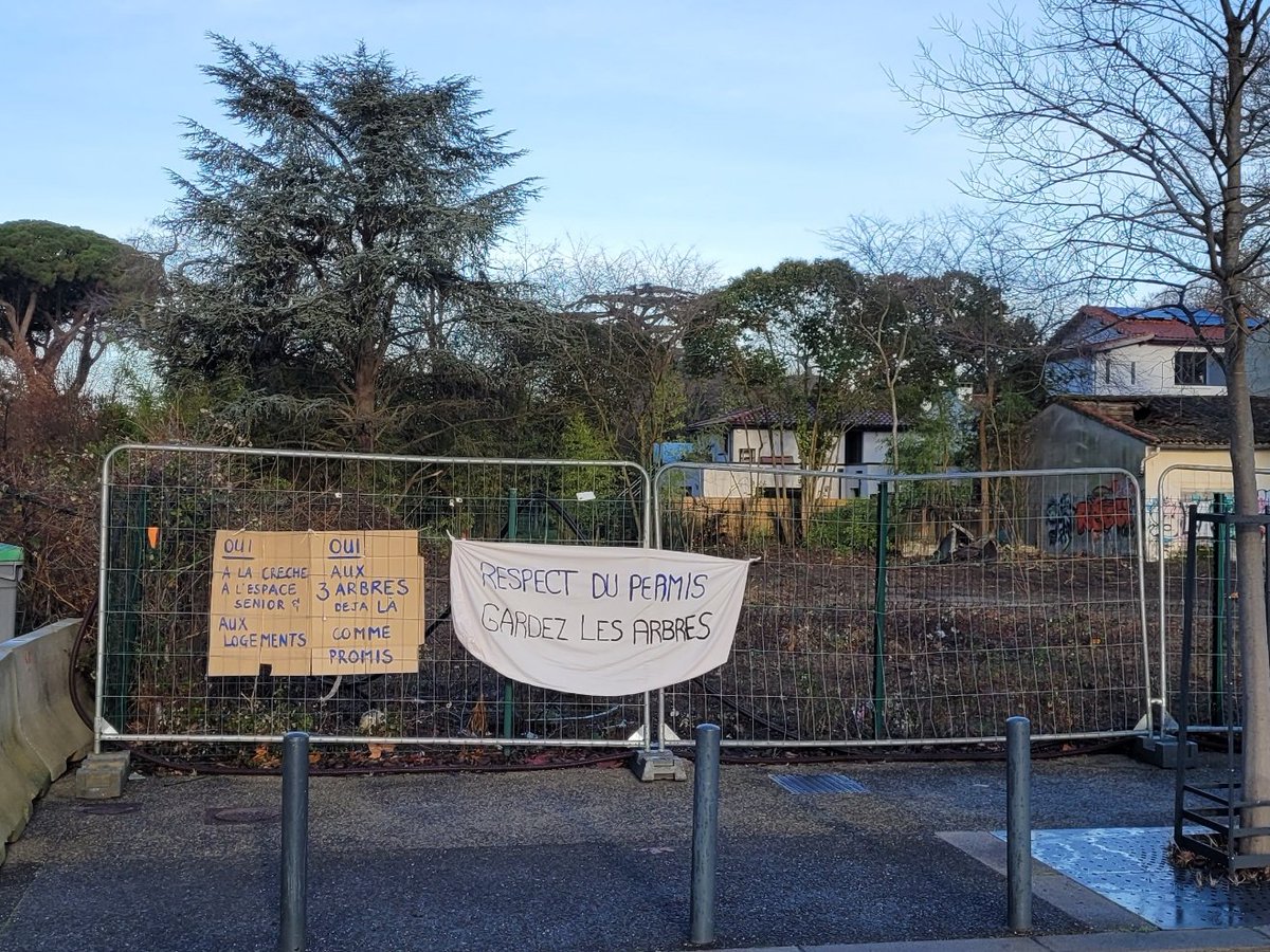 cq7deniers's tweet photo. Forte mobilisation des habitants des #7deniers #Toulouse pour faire respecter
🌲L'environnement et la préservation des arbres #Cèdre
⚖️ Le droit et le permis de construire qui prévoit le maintien des arbres
➕de 17.000 signataires de la #Pétition
https://t.co/mlh0h0GjL0 https://t.co/mqisAns4iF