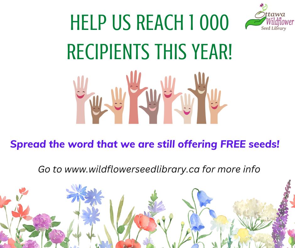#Indigenous classroom/schools: We have given seeds to 865 people to date; help make it an even 1000 by spreading the word around; still have plenty + a lovely diversity of species to offer! Thanks 4 your help! Direct link is here: wildflowerseedlibrary.ca/orders-%26-ins… <a href="/TroyMaracle/">Troy Maracle</a> <a href="/StAmantDeb/">Deb St Amant</a>