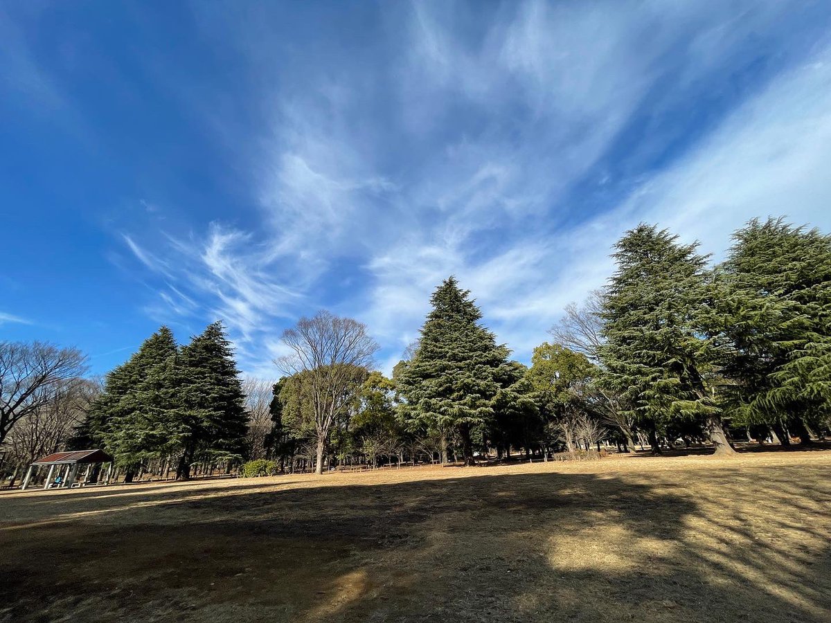 MichiyoshiMaeda's tweet photo. 今日も快晴
12月半ばから始まった稽古
雨男の力及ばず
稽古の日は全て晴れ
#俺は誰だ
本番まで残り僅か
みんなファイティン
https://t.co/BXYbLHl9lv
#曽世海児 #前田倫良 #千葉健玖 #スタジオライフ #剣持直明 #劇団だるま座 #福井利之 #鈴木美緒 #綿貫奈々 #天久真介 #委甫 #OffbeatStudio https://t.co/a1787THMpm