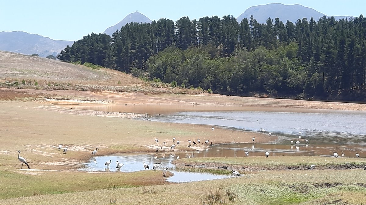 Day 12 #Gratitude January 2023

" I felt my lungs inflate with the onrush of scenery - air, blue skies mountains, trees, and wetlands filled with sacred ibis, grey herons, and  snake eagle. Immersed in God's diverse creation.
I thought, ‘This is what it is to be happy."