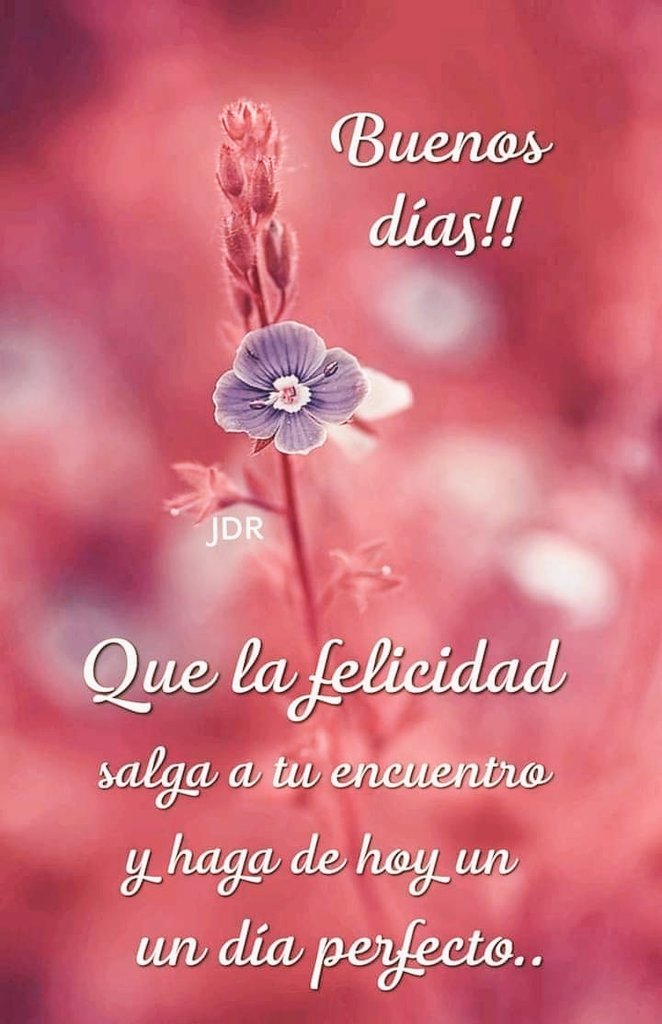 Hermoso mensaje para todos! ❤️🌻👍