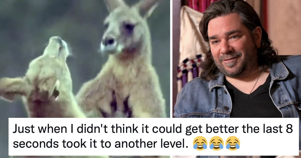Matt Berry narrating this wildlife video is the most fun 90 seconds you’ll spend today
thepoke.co.uk/2023/01/12/mat…
