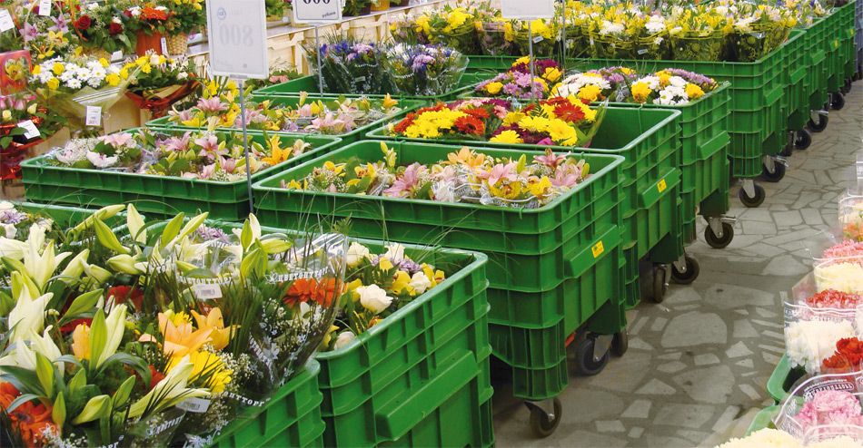 At SB, we understand the importance of high-quality cold rooms to ensure the best, most effective solution to meet the requirements of the business. Optimal temperatures and humidity play a critical role in preserving these stunning range of fresh flowers. 

#coldroom #flowers