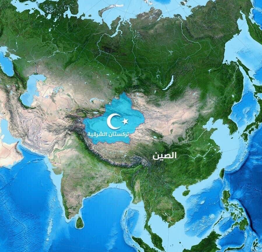 عذرا يا بني أمية
إن شمس الفتوحات التي حملتموها على طريق الحرير ناحية الصين اليوم تأفل تحت أجنحة التن...