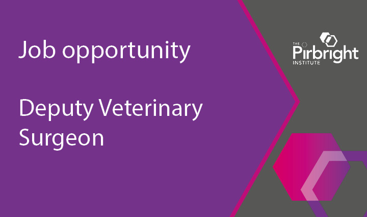 Pirbright_Inst's tweet photo. JOB: We have an exciting opportunity to work closely with our animal technicians &amp; research scientists to assist in undertaking cutting-edge in vivo research in a variety of animal models.

Apply for the role of Deputy Veterinary Surgeon ➡️https://t.co/IEZ1xDf9sv https://t.co/MdtCEXWVIw