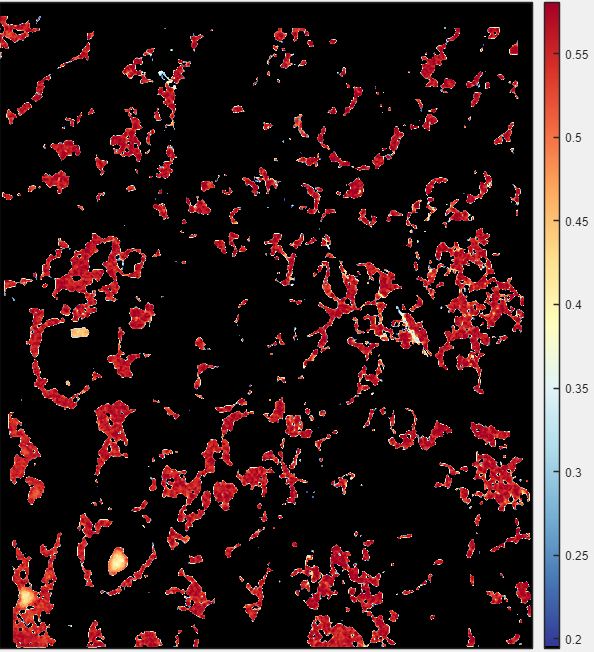 Rich Taylor tweet media