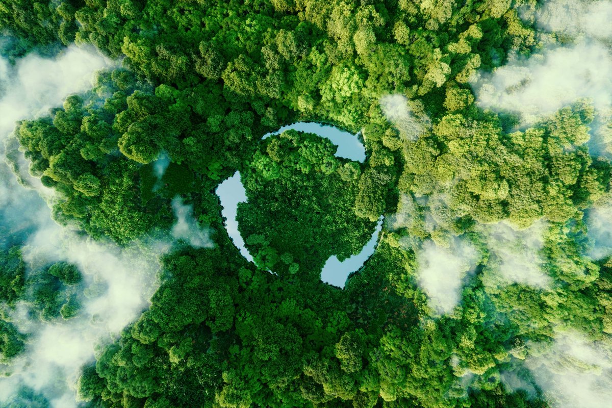 TECContainers's tweet photo. Is Bitumen Eco-Friendly? https://t.co/pTfxL5fVLG https://t.co/QzokqlzwET