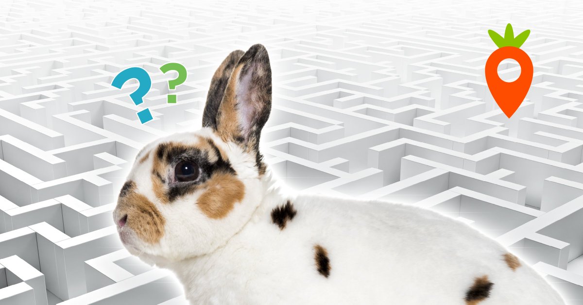 ANA•LITK tweet media