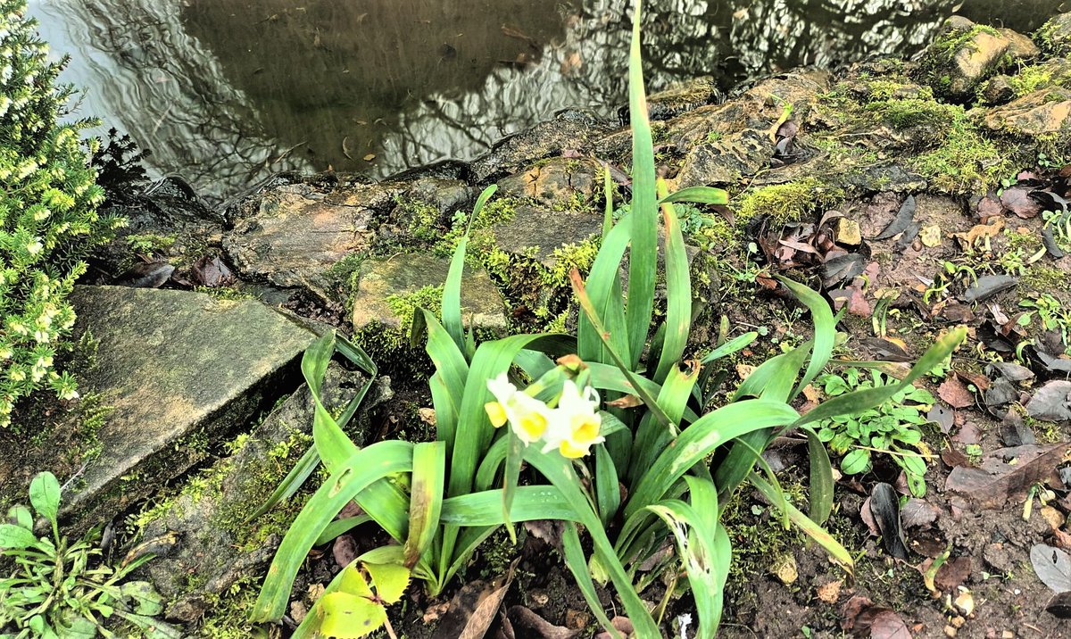 It might be cold, wet and windy, but spring is on the way