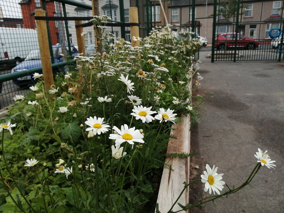DenbighshireCC's tweet photo. A joint project is underway to help inform and improve the development of green spaces in #Rhyl.
👉https://t.co/nbn53Gg4KW https://t.co/rt9bsKUOVL
