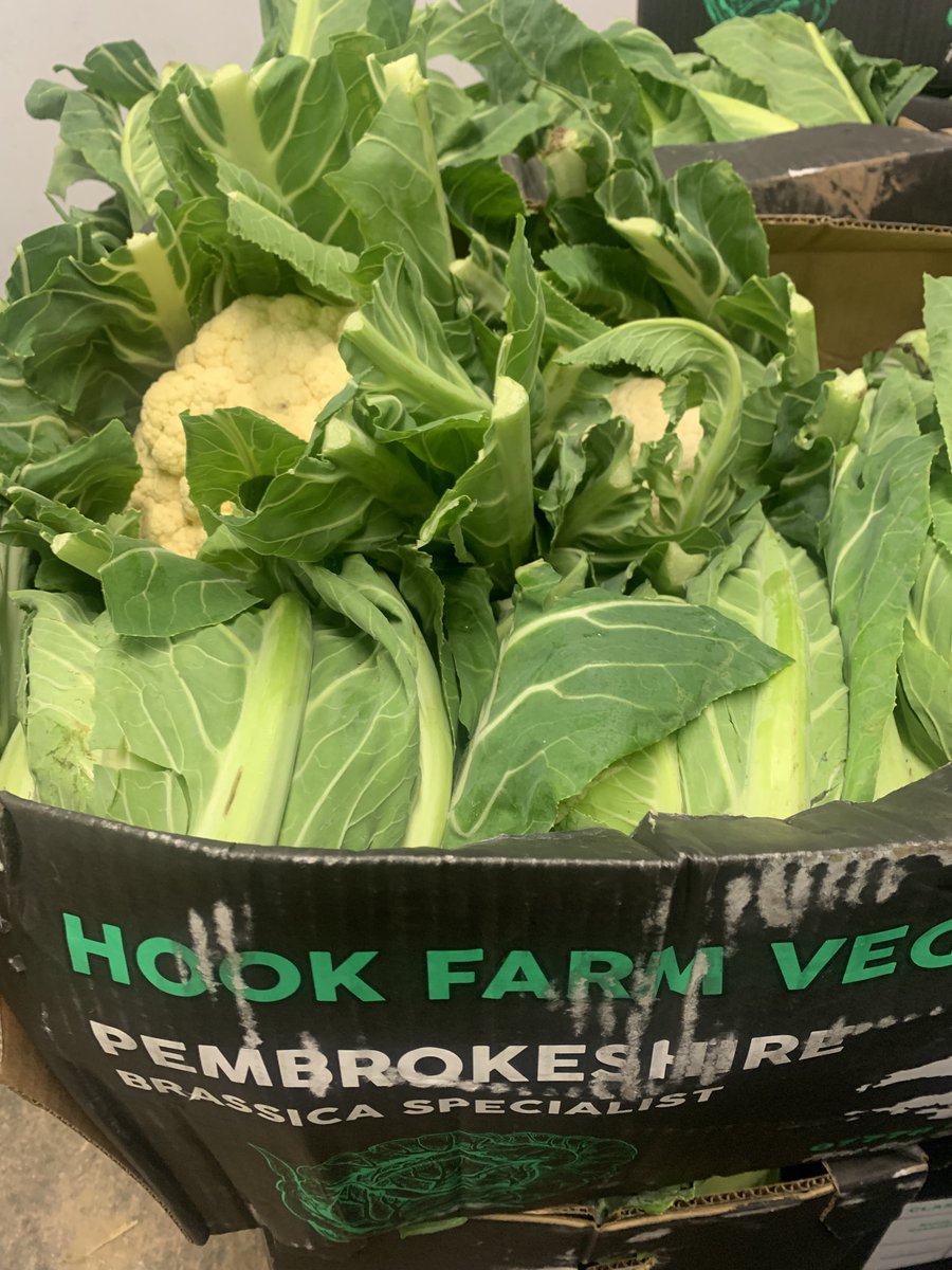 Great visit yesterday to the Hayman family at Norton Farm a big thank you for showing everyone around from #compasscymru #TeamPSE also a big thankyou to Martin Griffiths from Hook Farm.