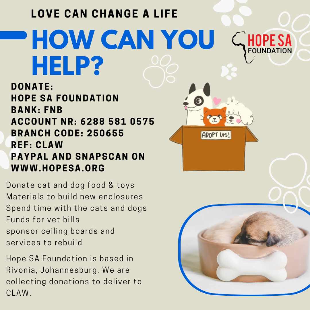 Namritha_'s tweet photo. @HopeSAfoundatio has been assisting the community with food and the shelter with dog/cat food * blankets and the need is so big that we will support CLAW on an ongoing basis. Please adopt from them π₯Ί#PawsforHope
Even a visit to bathe the dogs or play with them helps. #animals https://t.co/tIhm3OvHzi