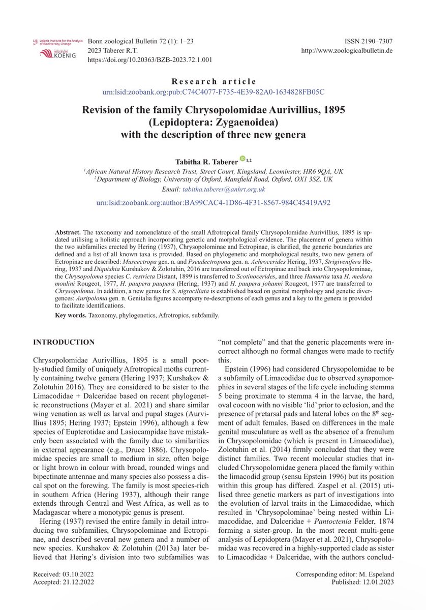 tabby_taberer's tweet photo. New paper out now, with the description of three new Chrysopolomidae genera! 🦋 https://t.co/54outGFwFw https://t.co/H7jmYfojEU