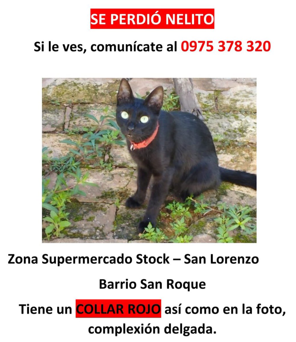 aleefrancob's tweet photo. Porfa ayudenme a encontrarle a Nelito. 💗💗 Se agradece el rt https://t.co/kUuJdsU9ba